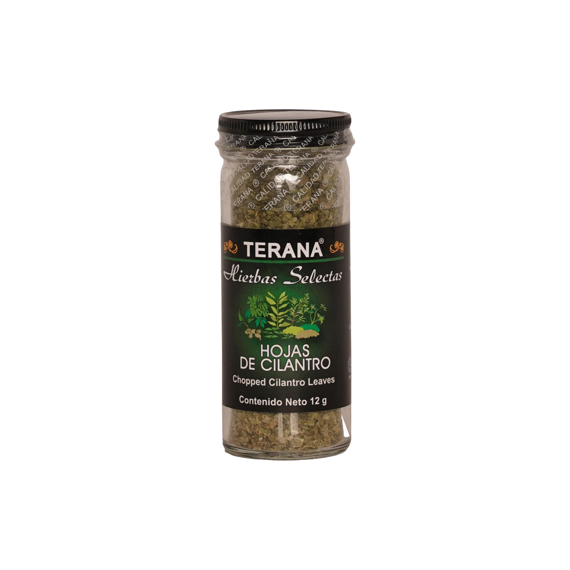 Hojas de Cilantro – Terana 21g